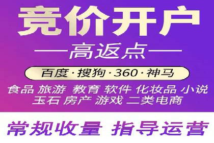 某行业巨头托管竞价sem的胜利之路